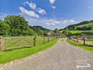Driveway- click for photo gallery